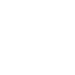 08-Wedio