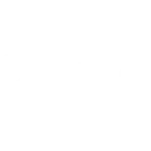 Dataløn logo